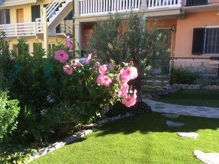 Camelia Casa Vacanze 21